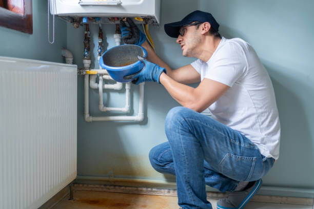 Best Plumbing Services Near Me  in New Mford, IL