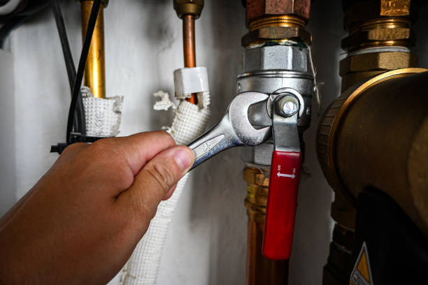 Best Affordable Plumbing Services  in New Mford, IL